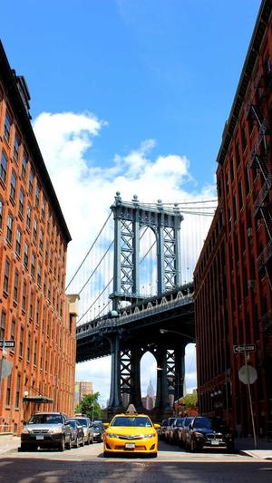 seo查询工具排名截图2