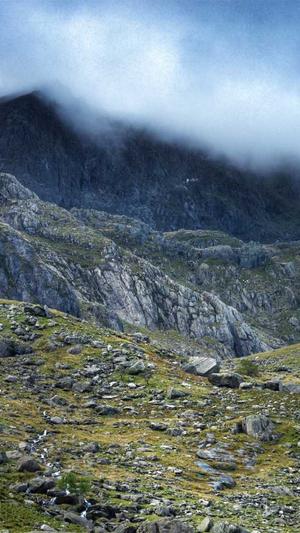 泛目录繁殖系统截图3