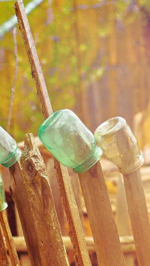 seo日志分析工具截图1