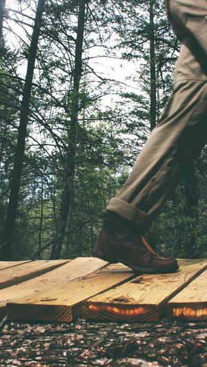 搜狗蜘蛛池快速推广截图2