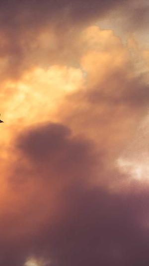 什么蜘蛛池的程序出名截图2