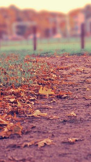 seo搜索优化工具截图3