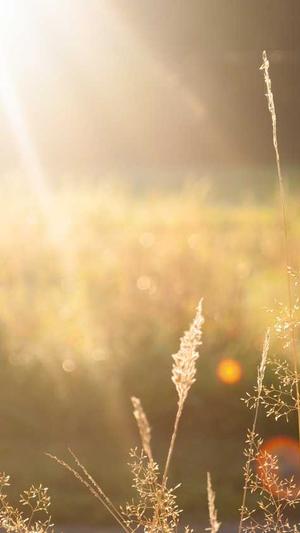 重庆网站的seo优化流程截图3