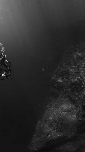 泛目录怎么收录截图3