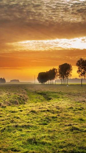 蜘蛛池 长尾词排名截图2