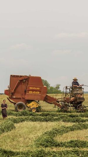 泛目录怎么做外推截图1