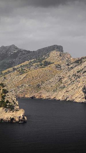 菏泽市网站建设截图4