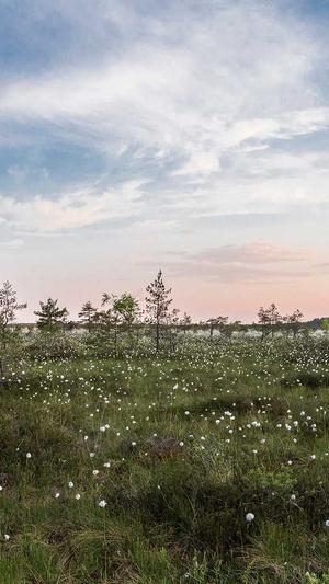 陕西蜘蛛池租用包月截图5