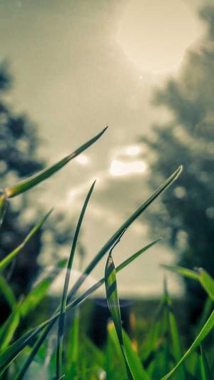 好的蜘蛛池有哪些品牌截图5