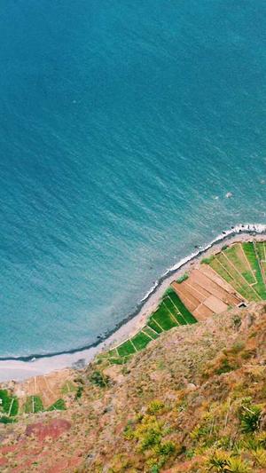 小旋风蜘蛛池有啥用处截图4