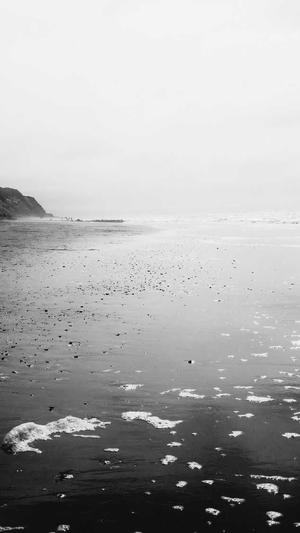 温州seo优化截图3