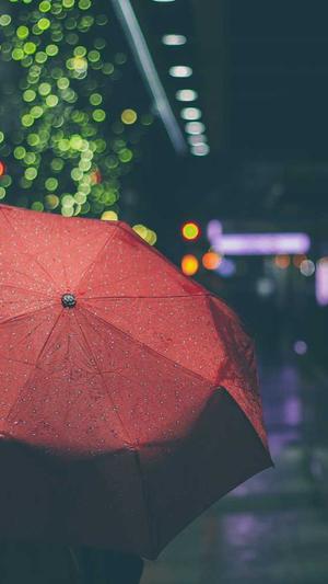 百度seo排名截图1