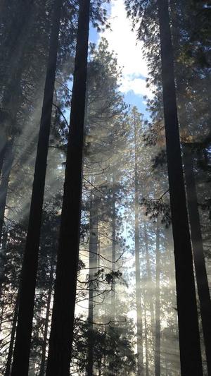 seo综合查询工具使用截图3