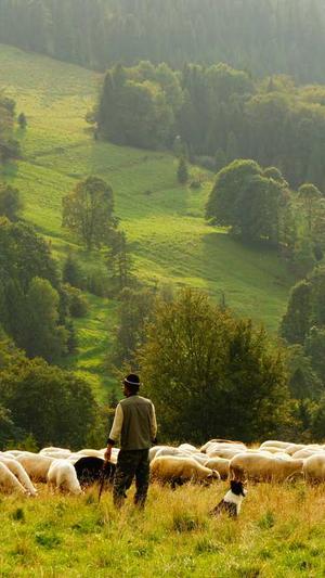 牛牛蜘蛛池下载截图5