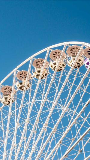 seo工具包使用方法截图2