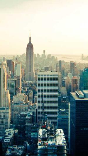 吾乐吧的seo自动外链工具有用吗截图2