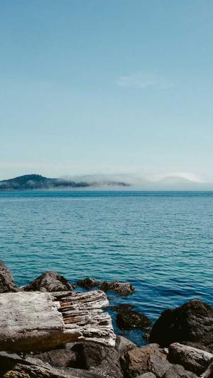 百度seo培训截图5