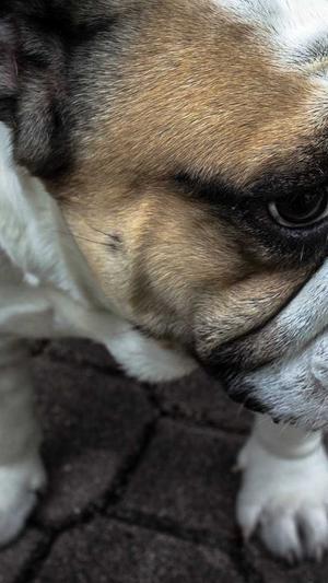 潜江网站建设截图5