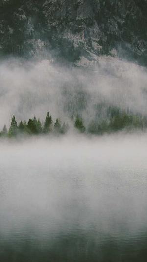 可靠的上海网站建设截图3