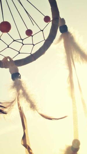 .net网站建设截图1