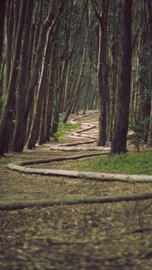 网站seo优化诊断工具截图3