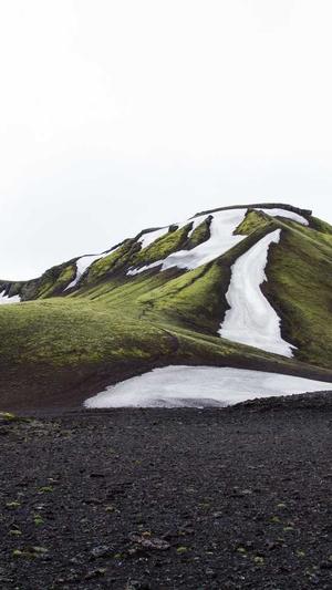 蜘蛛池在线截图2