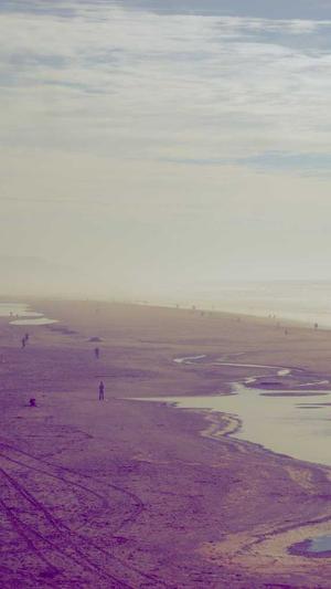 seo工具培训截图1