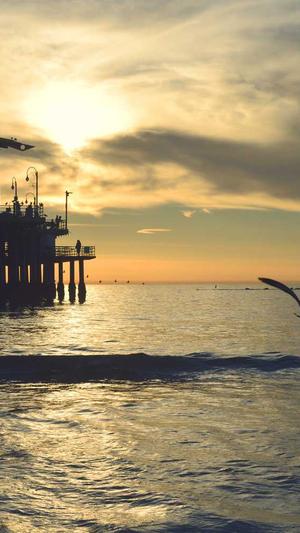 抚顺seo优化截图1