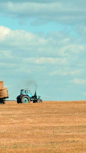 内蒙古网站建设截图4
