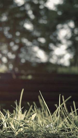 seo内容发布工具截图1