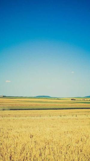 海口网站网站建设截图2