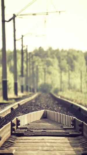 黑侠蜘蛛池截图3