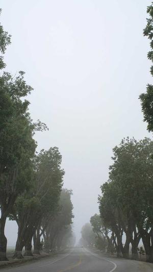 网站建设入门截图4