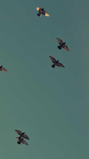 seo优化杭州截图3