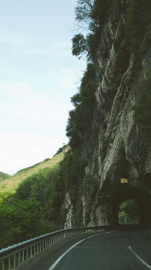 甘肃神马蜘蛛池出租截图3