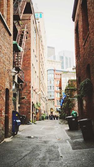 合肥网站建设公司截图1