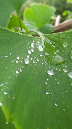 seo工具方案截图2