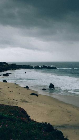 蜘蛛池租用包月哪家强截图1