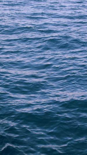 蜘蛛池租用秒收截图4