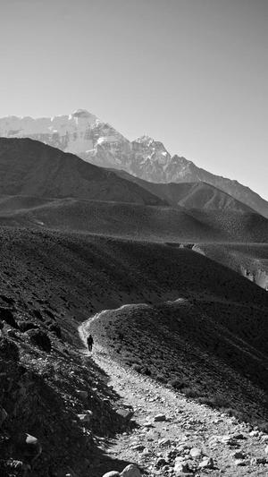 SEO快速排名工具截图5