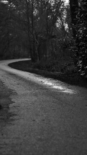 威海seo优化截图4