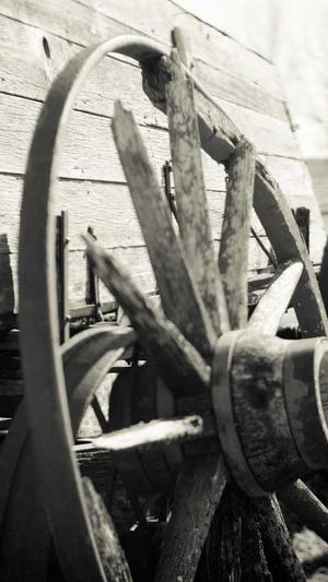 网站建设免费截图1