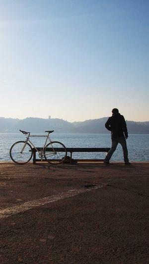 seo优化排名工具 site截图3