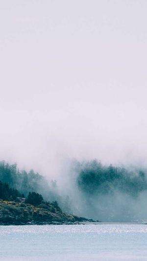 seo截图1