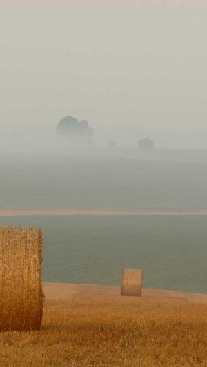 淘宝标题seo智能工具截图2