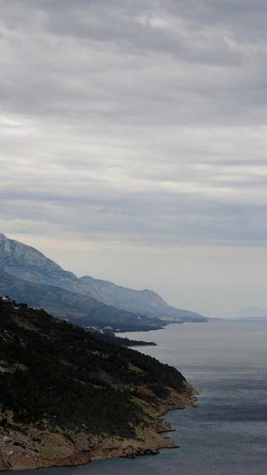 谷歌seo诊断工具截图1