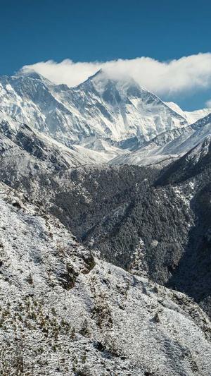 seo综合查询工具可以查看哪些数据截图2