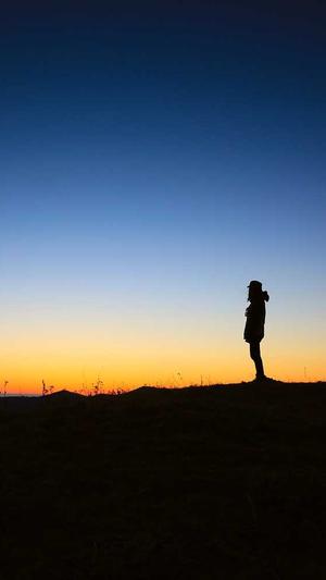 站长工具seo808截图2