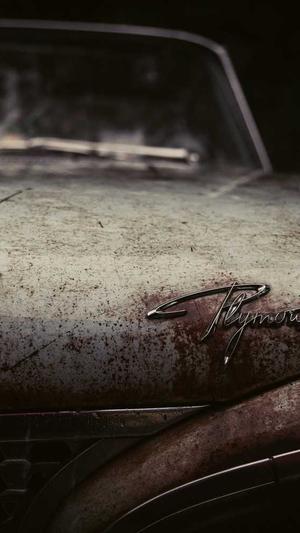 高权重泛目录截图4