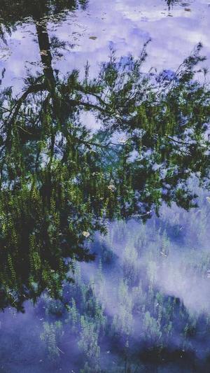 小旋风泛目录站群截图3